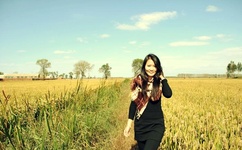 青楼十二房百度影音